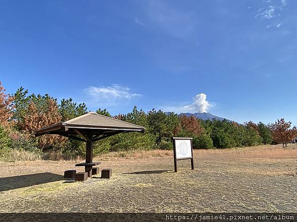 【鹿兒島】櫻島半日遊～三大展望台、最長足湯、溶岩遊步道