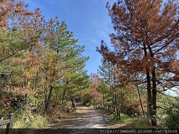 【鹿兒島】櫻島半日遊～三大展望台、最長足湯、溶岩遊步道