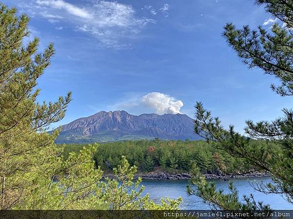 【鹿兒島】櫻島半日遊～三大展望台、最長足湯、溶岩遊步道
