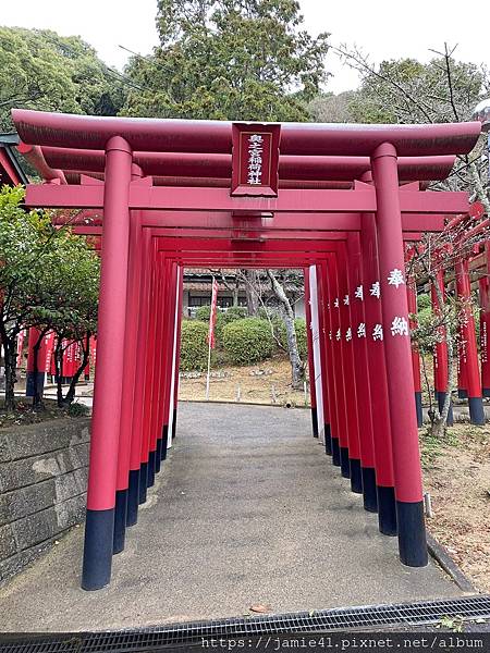 【福岡】朝聖宮地嶽神社「光之道」與「奧之宮八社」巡禮