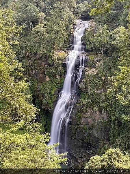 【杉林溪】青龍瀑布～青龍蕨類步道＋石井磯步道