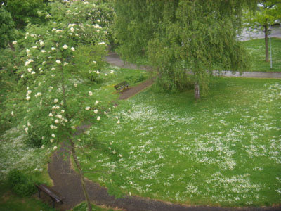 【德國】中世紀古堡「羅騰堡」 【德國】中世紀古堡「羅騰堡」