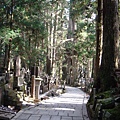 高野山  奧之院參道