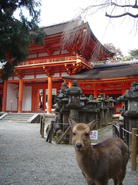 奈良  春日大社