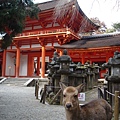 奈良  春日大社