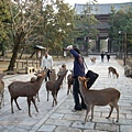 奈良  東大寺