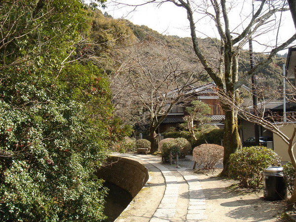 京都  哲學之道