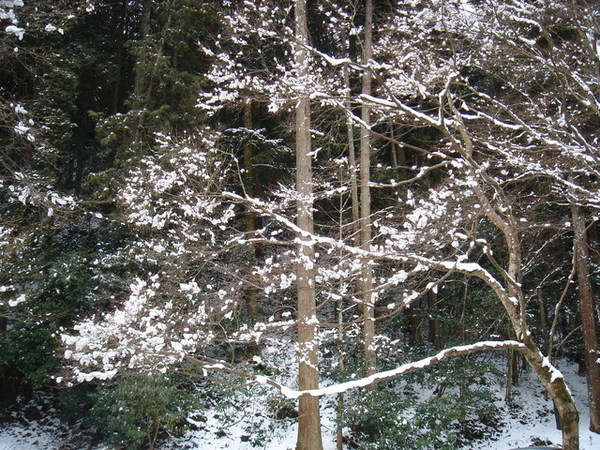 京都  大原之里