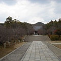 京都  仁和寺