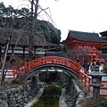 京都  下鴨神社