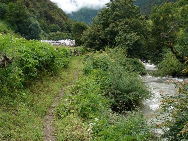 雨崩河谷