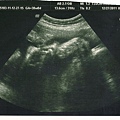 JJ BABY 20111227-002.jpg