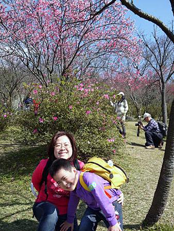 20140203陽明山賞櫻_12.jpg