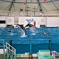 2012-11-19-11-登別海洋公園尼克斯水族館