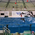 2012-11-19-12-登別海洋公園尼克斯水族館