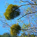 霞喀羅古道