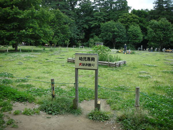 井ノ頭公園。有規劃專門給小朋友遊玩的草地耶