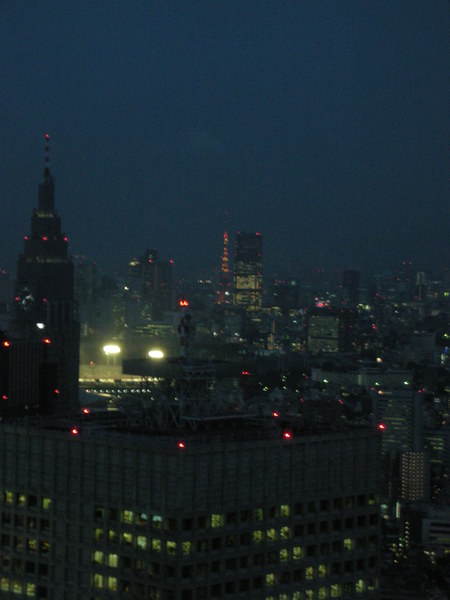 沒錯。其實我是想照東京鐵塔　:P