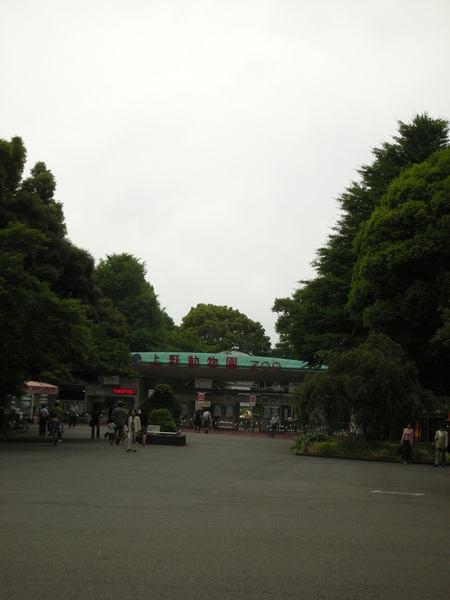 旁邊就是上野動物園，不過沒進去