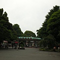 旁邊就是上野動物園，不過沒進去