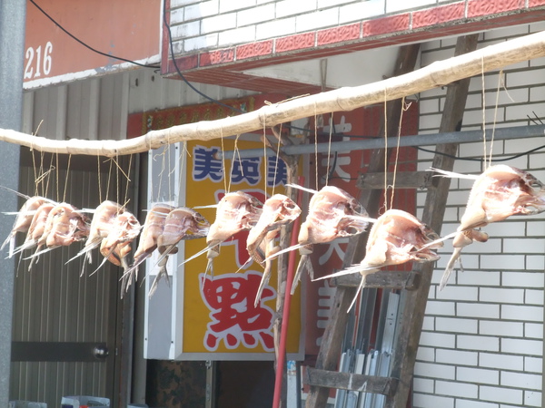 來四天只看到一家在曬飛魚