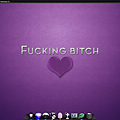 desktop1-5-2009.png