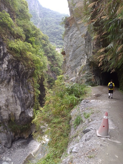 白楊步道17