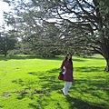 Golden Gate Park