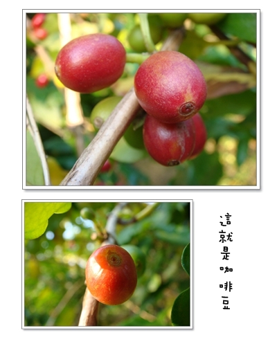 上田21.jpg 上田21.jpg