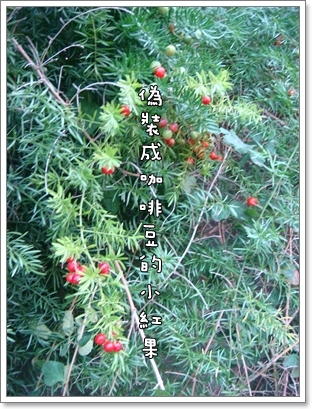 上田22.JPG 上田22.JPG