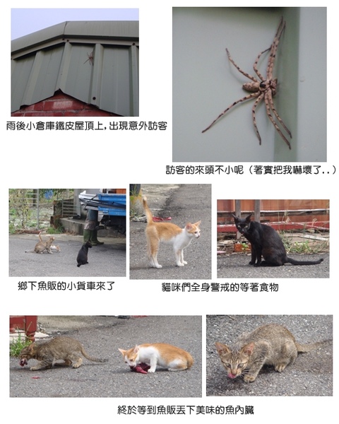 返鄉2.jpg 返鄉2.jpg