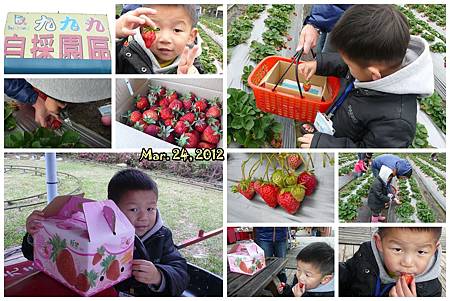 2012.03.24．採草莓