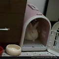 寶貝兔兒子QQ生活點滴照-20121229