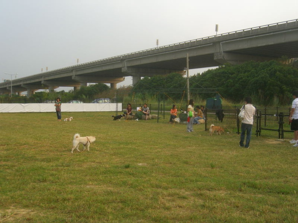 新竹狗狗公園14.JPG