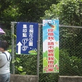 20100501土城桐花節-002.JPG