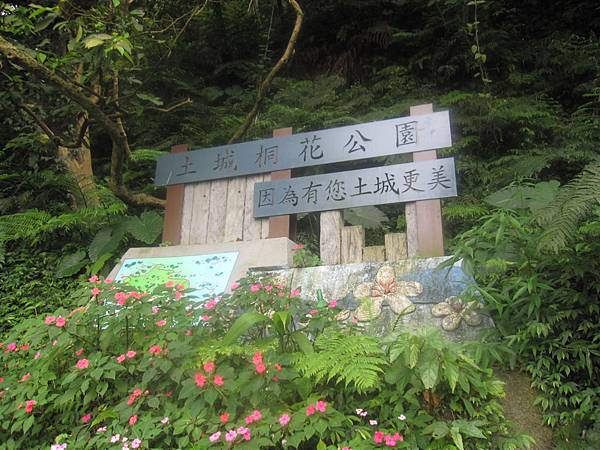 20100501土城桐花節-021.JPG