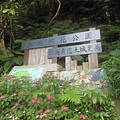 20100501土城桐花節-021.JPG