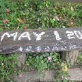 20100501土城桐花節-024.JPG