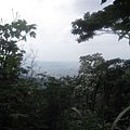 20100501土城桐花節-040.JPG