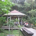 20100501土城桐花節-046.JPG