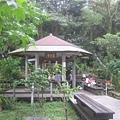 20100501土城桐花節-047.JPG