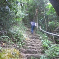 20100501土城桐花節-051.JPG