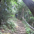 20100501土城桐花節-052.JPG