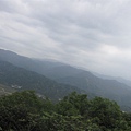 20100501土城桐花節-058.JPG