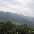 20100501土城桐花節-059.JPG