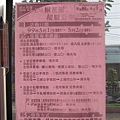 20100501土城桐花節-066.JPG