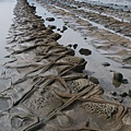 IMG_5750.jpg