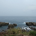 IMG_5904.jpg