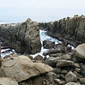 IMG_5922.jpg