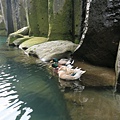 IMG_6141.jpg